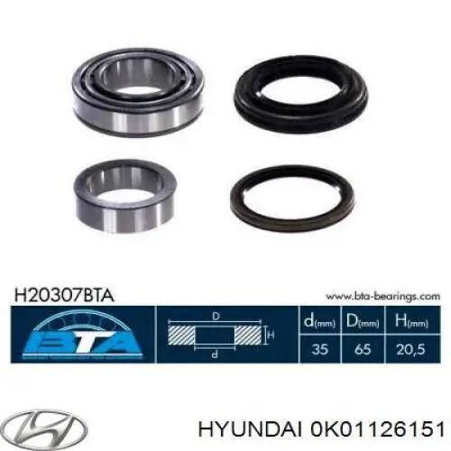 Cojinete de rueda trasero KIA Sportage 1 K00