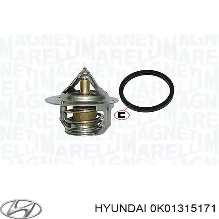 0K01315171 Hyundai/Kia termostato
