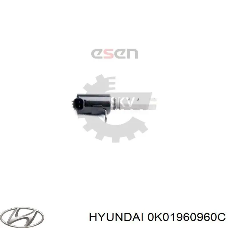 0K01960960C Hyundai/Kia aforador de combustible
