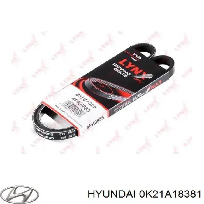 0K21A18381 Hyundai/Kia correa trapezoidal
