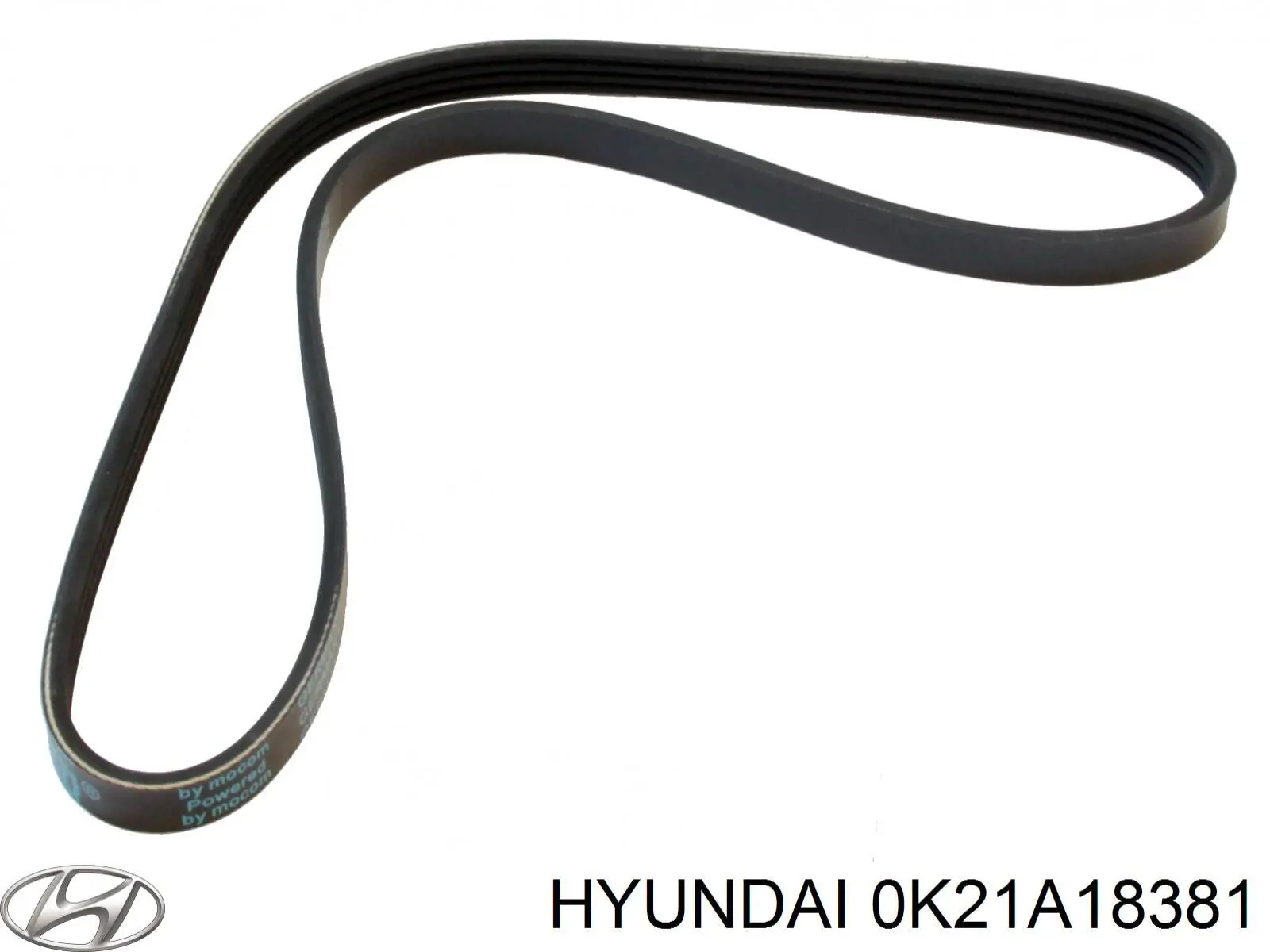 Correa accesorios Hyundai/Kia 0K21A18381