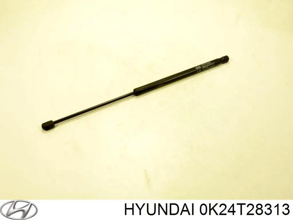 0K24T28313 Hyundai/Kia