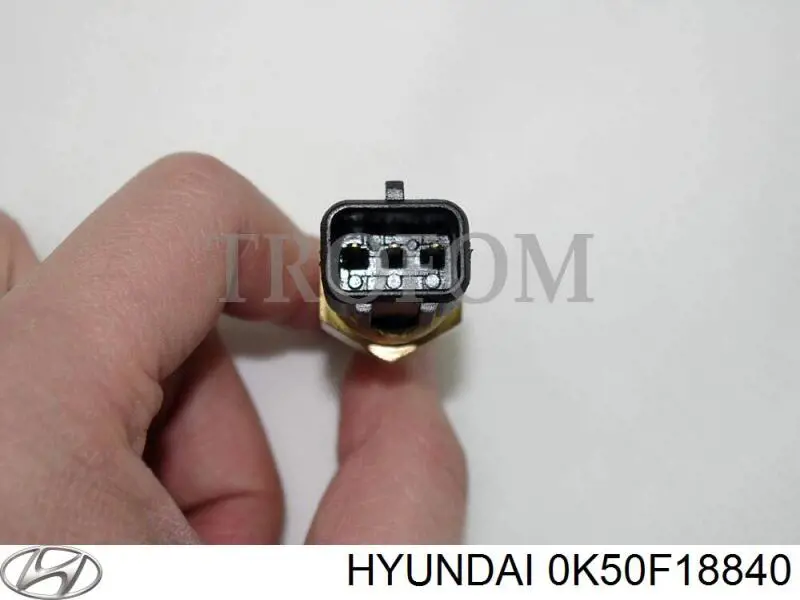 ADG07260 Blue Print Sensor temperatura refrigerante