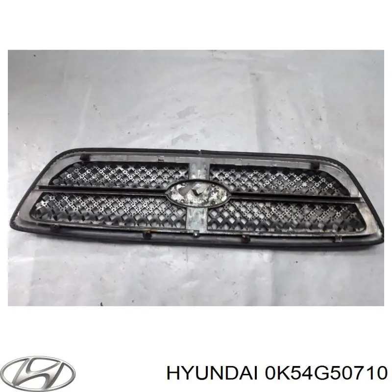 Calandra para KIA Carnival II GQ