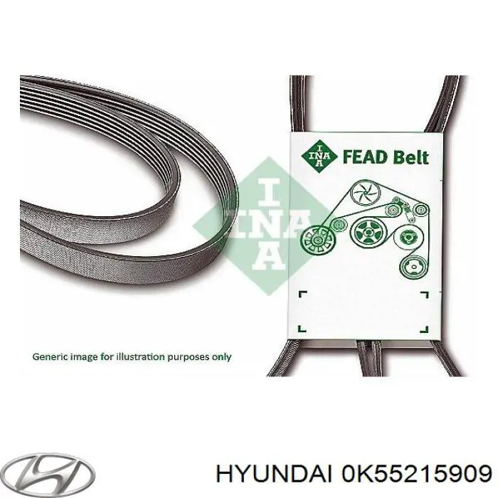 Correa de alternador 0K55215909 Hyundai/Kia