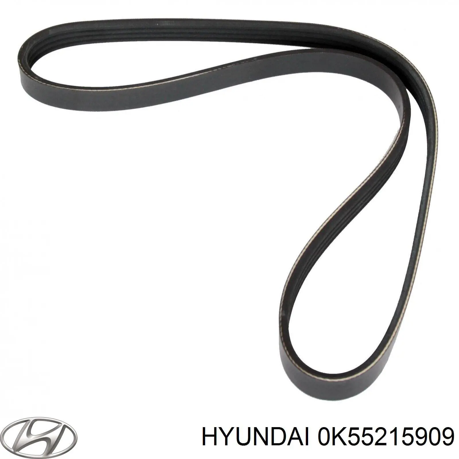 0K55215909 Hyundai/Kia Correa poly v