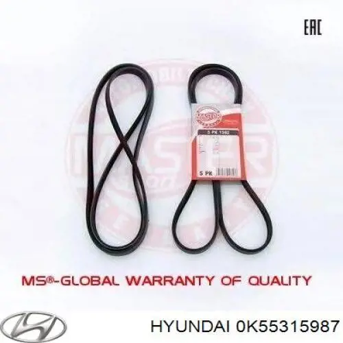 0K55315987 Hyundai/Kia Correa poly v