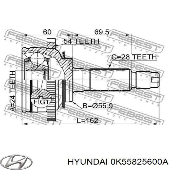 0K55825600 Hyundai/Kia junta homocinética exterior delantera