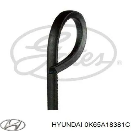 Correa de transmisión trapezoidal Hyundai/Kia 0K65A18381C precio, desde 14,08 EUR
