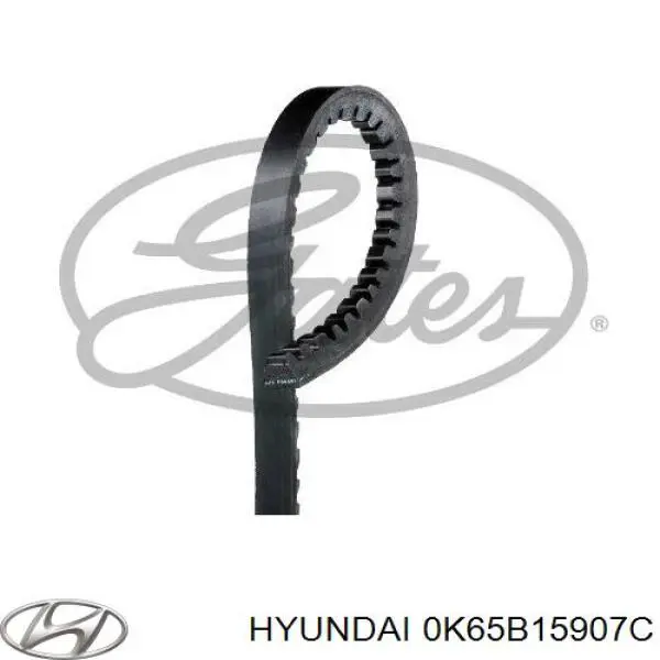 Correa de transmisión trapezoidal Hyundai/Kia 0K65B15907C precio, desde 5,90 EUR