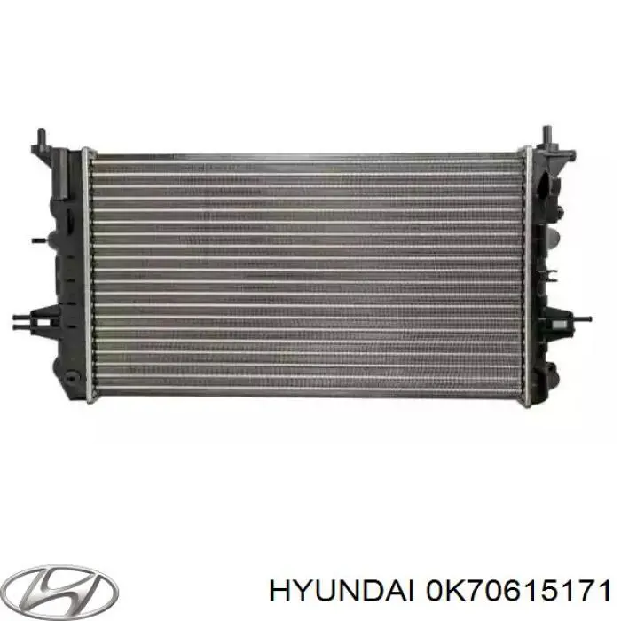 Termostato Hyundai/Kia 0K70615171 precio, desde 11,80 EUR