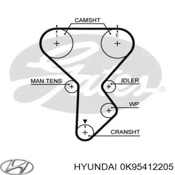 Correa de distribución Hyundai/Kia 0K95412205 precio, desde 30,02 EUR