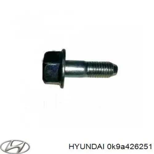 0K9A426251 Hyundai/Kia