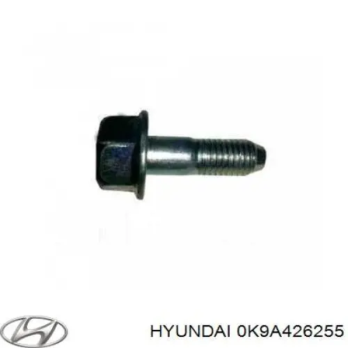 0K9A426255 Hyundai/Kia fuelle, guía de pinza de freno trasera