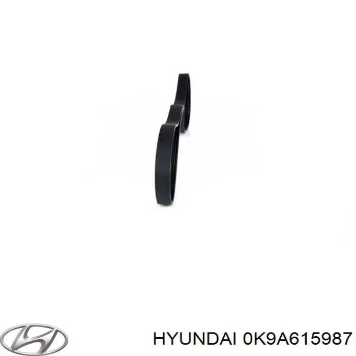 K9A615987 Hyundai/Kia