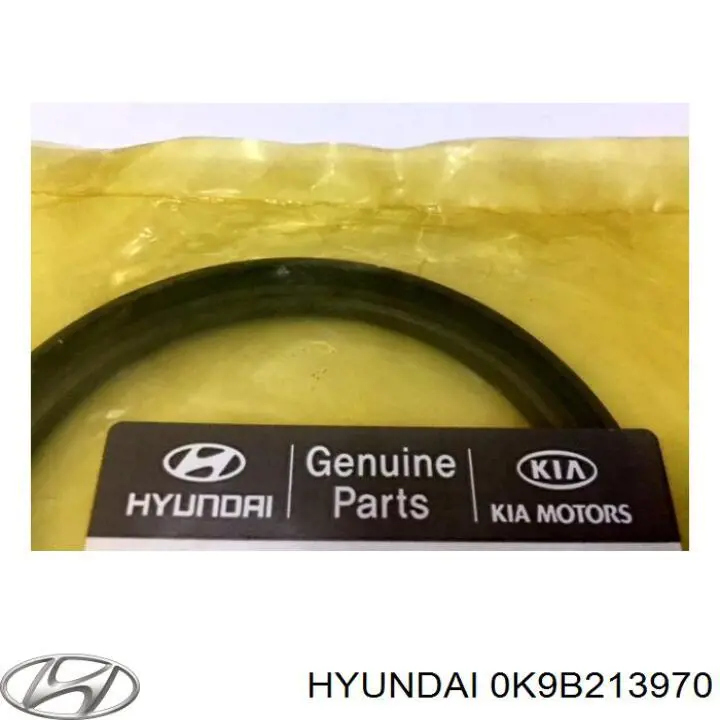 Filtro de carbón activado 0K9B213970 Hyundai/Kia
