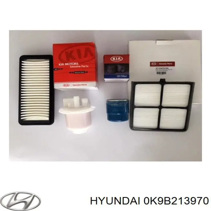 Canister EVAP Hyundai/Kia 0K9B213970