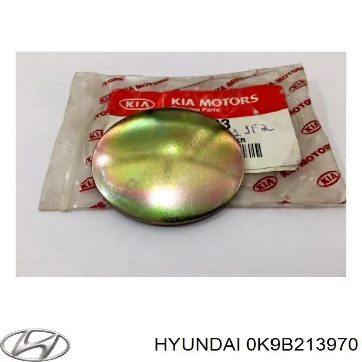 Filtro EVAP Hyundai/Kia 0K9B213970 precio, desde 126,20 EUR
