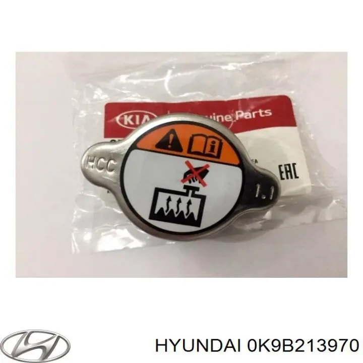 0K9B213970 Hyundai/Kia Filtro de carbon activo