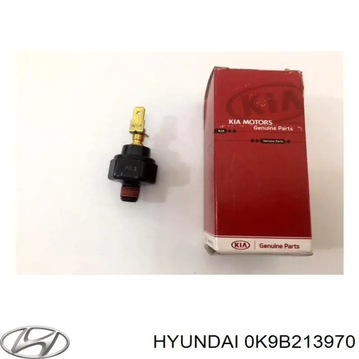 Filtro EVAP Hyundai/Kia 0K9B213970 precio, desde 126,20 EUR