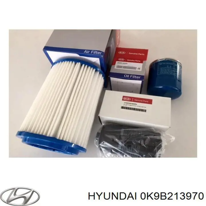 Comprar 0K9B213970 Hyundai/Kia Filtro de carbón activado