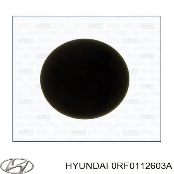 RF0110603A Hyundai/Kia