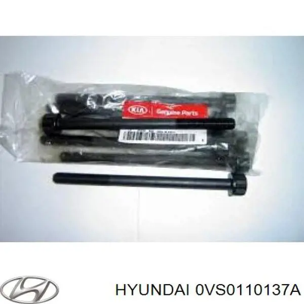 0VS0110137 Hyundai/Kia tornillo de culata