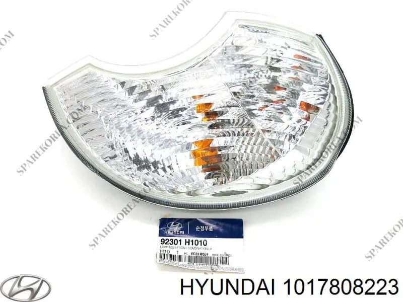 1017808223 Hyundai/Kia