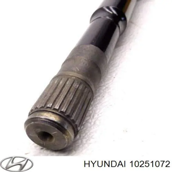 10251072 Hyundai/Kia