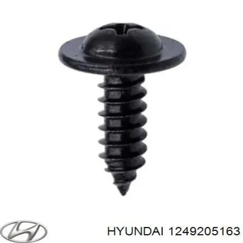 1249205163 Hyundai/Kia 