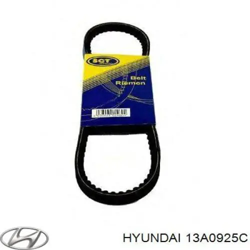 Correa de transmisión trapezoidal Hyundai/Kia 13A0925C precio, desde 5,94 EUR