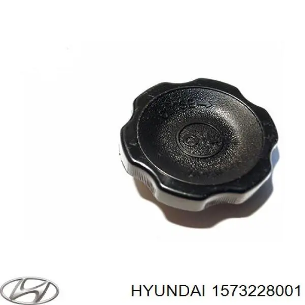 Tapa de cilindro Hyundai/Kia 1573228001 precio, desde 2,45 EUR