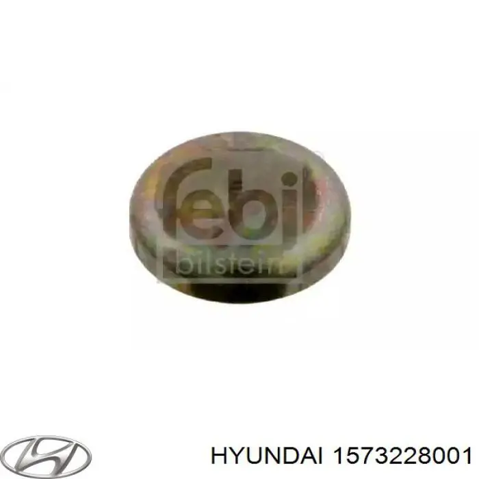 Comprar 1573228001 Hyundai/Kia Tapon culata