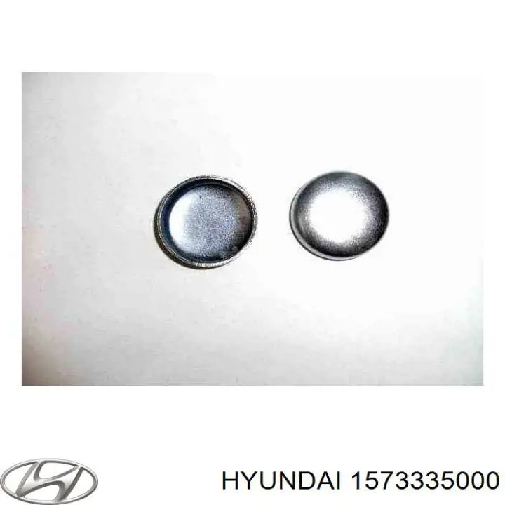 Comprar 1573335000 Hyundai/Kia Tapon culata