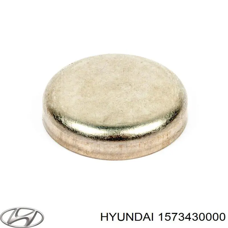 Comprar 1573230001 Hyundai/Kia Tapon culata