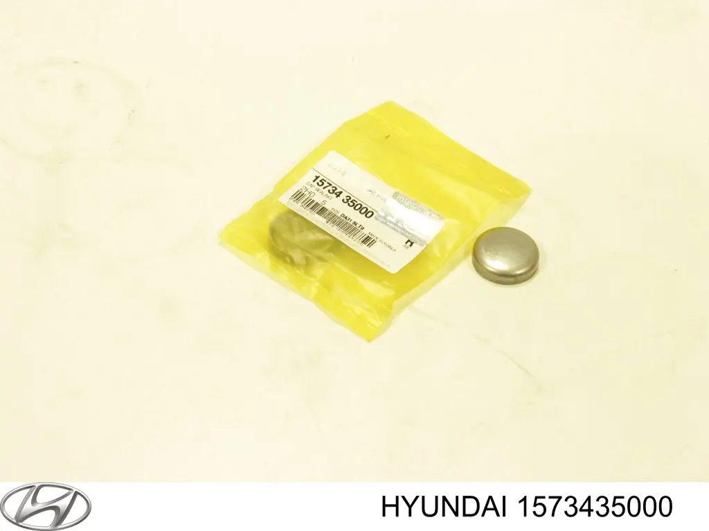 1573435000 Hyundai/Kia tapón de culata