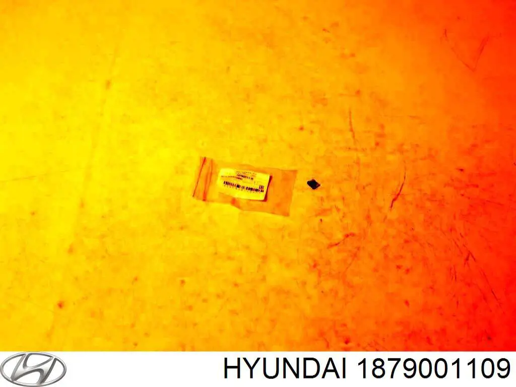 1879001109 Hyundai/Kia fusible