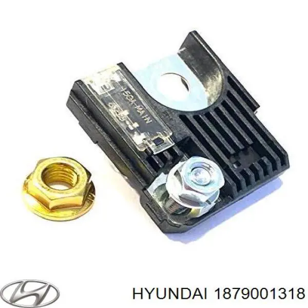 Fusibles 1879001318 Hyundai/Kia