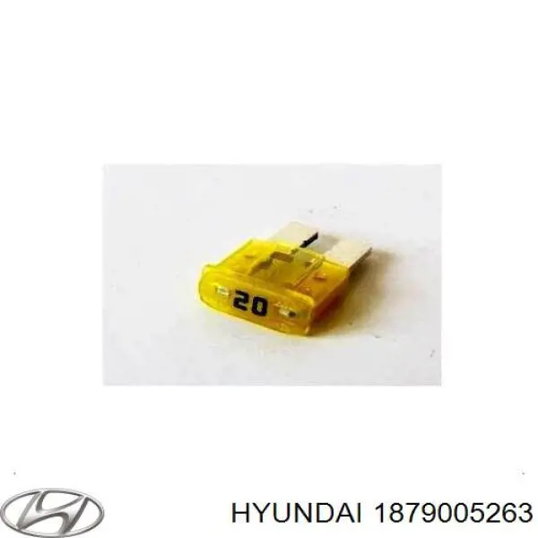 1879005263 Hyundai/Kia