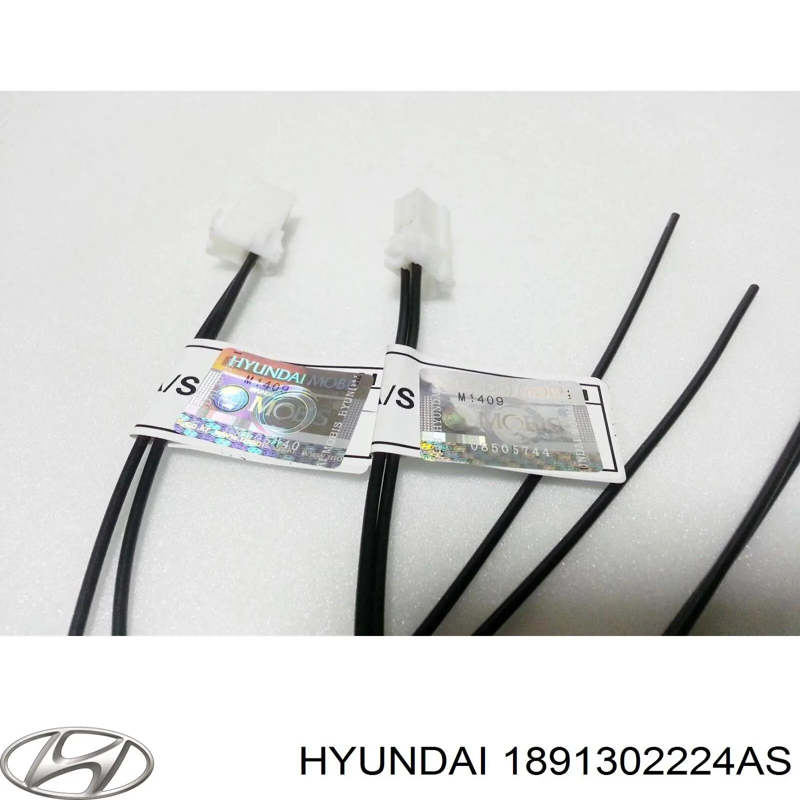 1891302224AS Hyundai/Kia