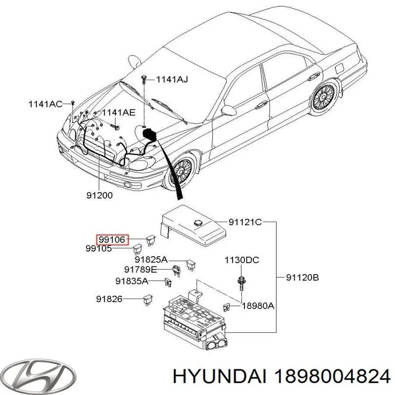 1898004824 Hyundai/Kia fusible