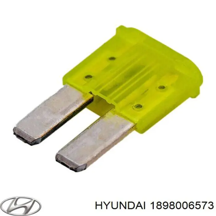 1898006573 Hyundai/Kia