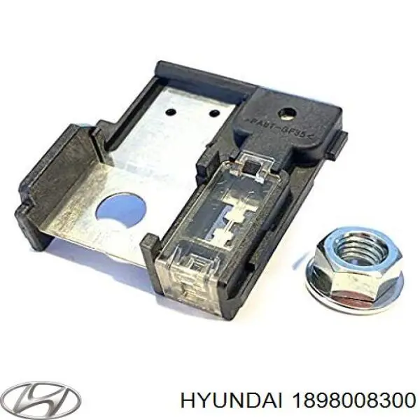 1898008300 Hyundai/Kia