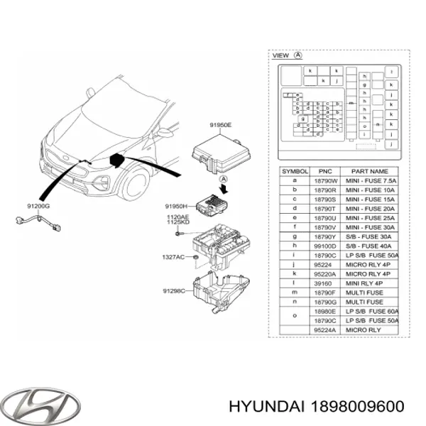 1898009600 Hyundai/Kia caja de fusibles