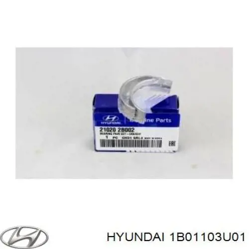 1B01103U01 Hyundai/Kia