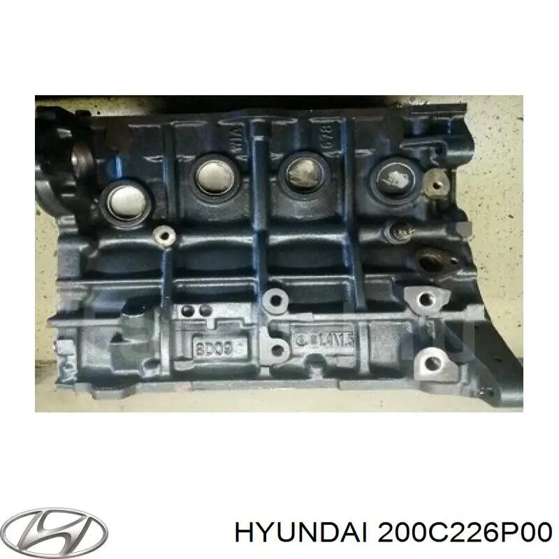 200C226P00 Hyundai/Kia