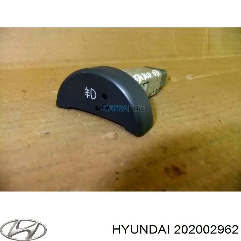 202002962 Hyundai/Kia