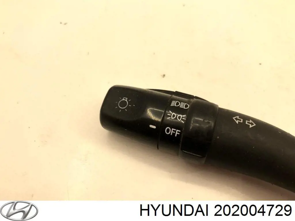 202004729 Hyundai/Kia