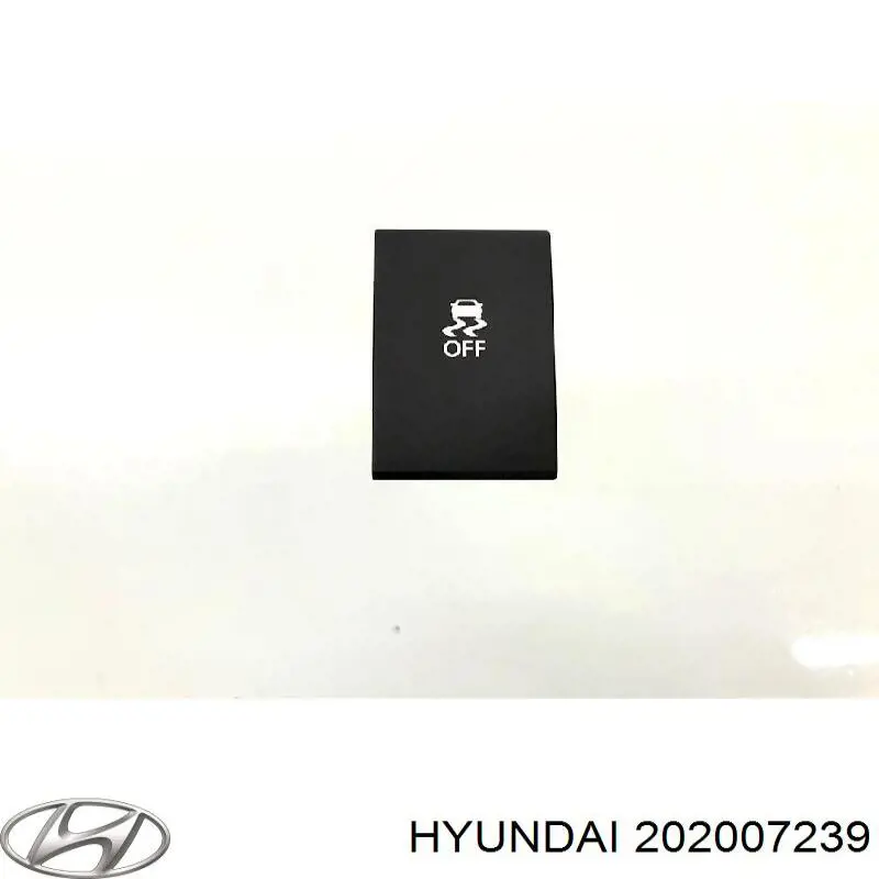 202007239 Hyundai/Kia 