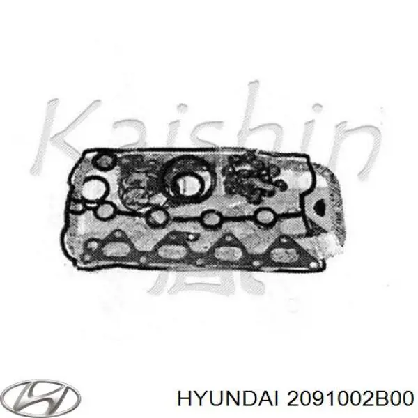 2091002B00 Hyundai/Kia juego de juntas de motor, completo